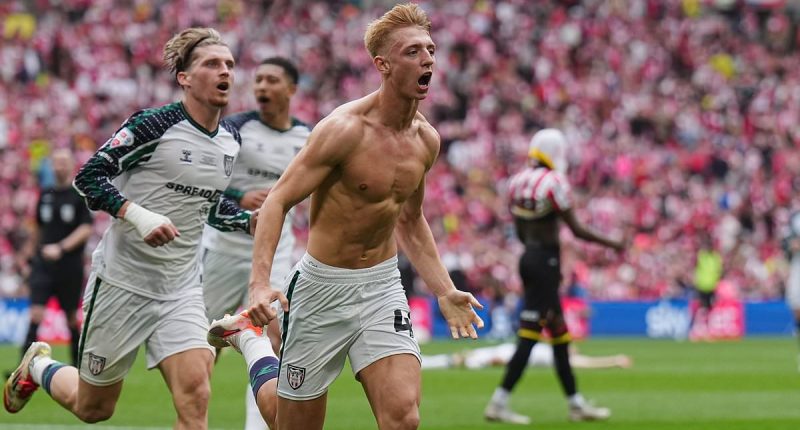 Sheffield United 1-2 Sunderland: Black Cats are PROMOTED back to the Premier League after Tom Watson's last-gasp winner in £200m showdown