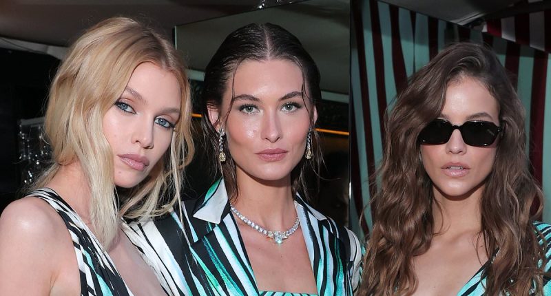 Stella Maxwell sets pulses racing in plunging dress for Cannes dinner
