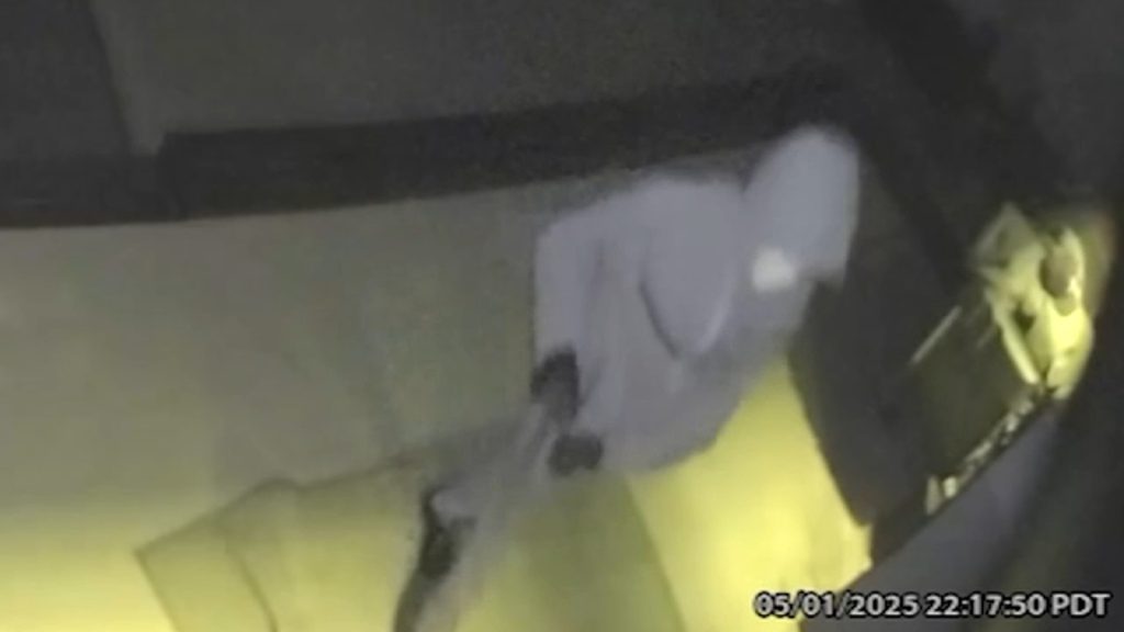 Surveillance video captures Hancock Park burglary in Los Angeles, California while homeowner and kids were sleeping