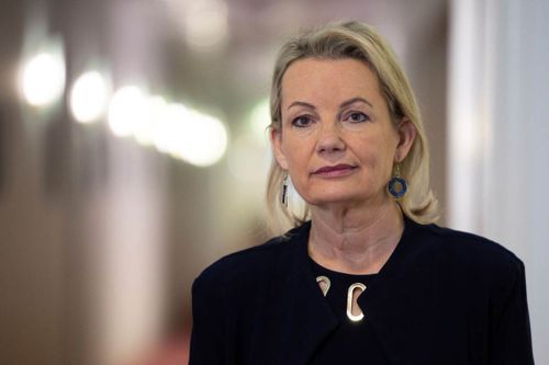 Sussan Ley, Angus Taylor make their official pitches for Liberal leadership