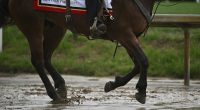 The 151st Kentucky Derby could be a mudder's delight with rain in the forecast