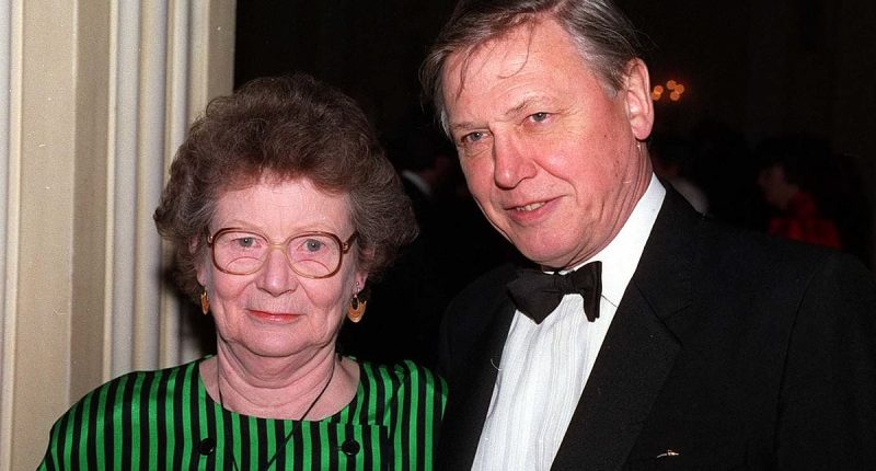 The devastating phone call that ended Sir David Attenborough's world: Jane was his greatest love, his rock and soulmate then in a blink of an eye his life was turned upside down