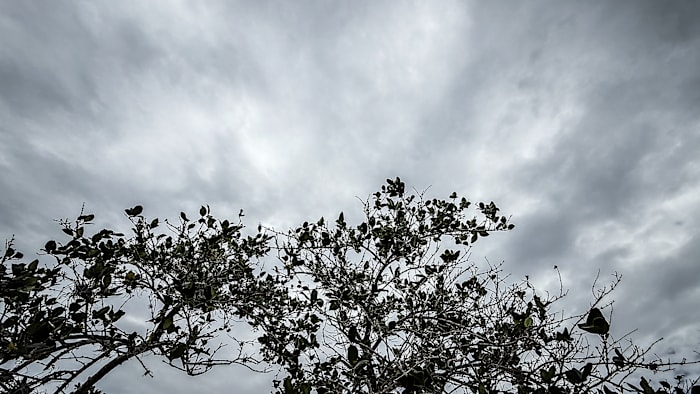 This weather pattern flip could play a big role in Central Florida hurricane season