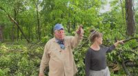 Tornado topples a dozen trees in Potomac