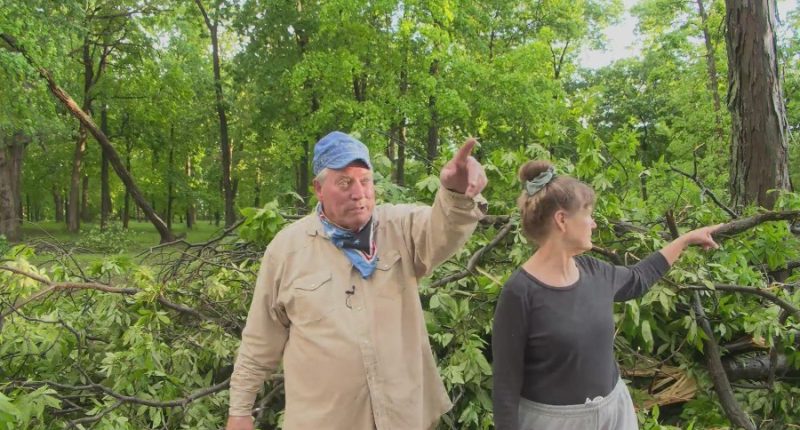 Tornado topples a dozen trees in Potomac