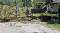Tornadoes strike St. Louis and southern Illinois