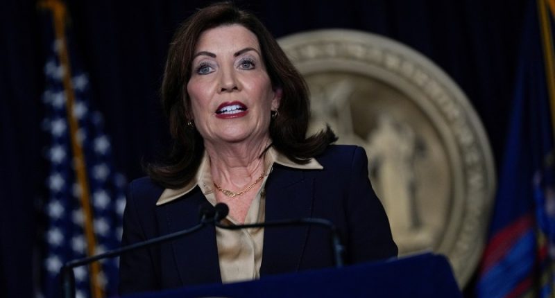 Trump admin to allow NY offshore wind project to continue: Hochul