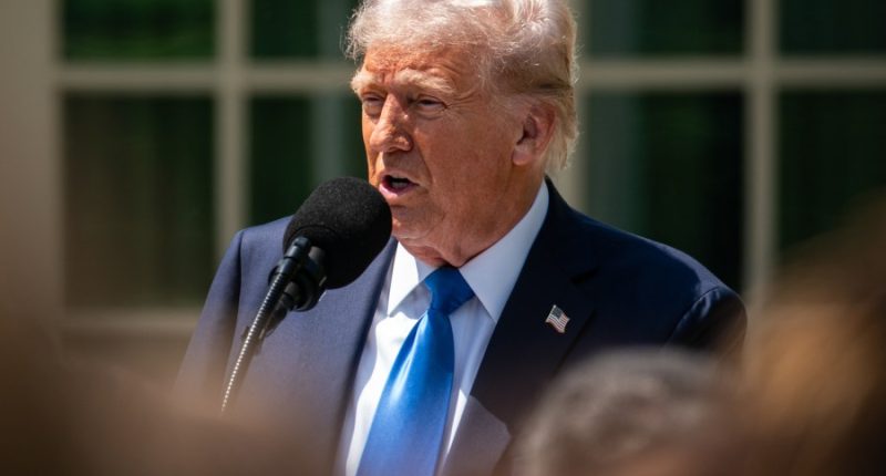 Trump budget boosts defense, slashes other funding