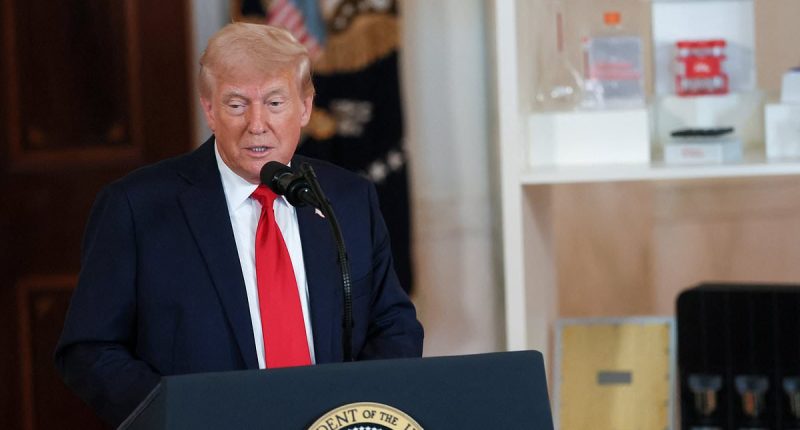 Trump unveils his own news website