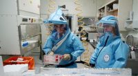 US lab handling world's deadliest diseases is shut down after 'lover's spat' led to spiteful act