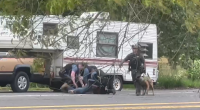 VIDEO: K-9 attacks standoff suspect at Oregon rest stop