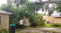 VIDEO: Storms send tree onto Palm Bay home; hail reported across Central Florida