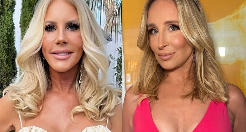 Vicki Gunvalson Calls Out Sonja Morgan for Refusing to Pay Bill
