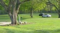 Video: Golfer in ICU after being hit at 5th hole by person 'driving erratically'