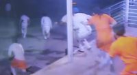 Video reveals moment inmates escaped New Orleans Jail