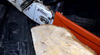 Video 'showing chunk of Sycamore Gap tree taken as a trophy and chainsaw in the boot of suspect's car' is played in court
