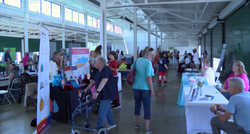 Walk for Wellness Health Expo held in Kingsport