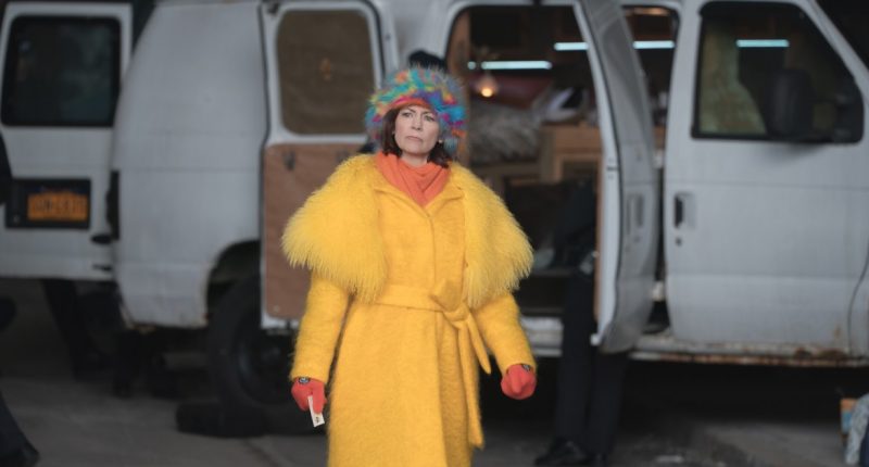 Was ‘Elsbeth’ Renewed for Season 3? Find Out If Carrie Preston’s Show Will Continue on CBS