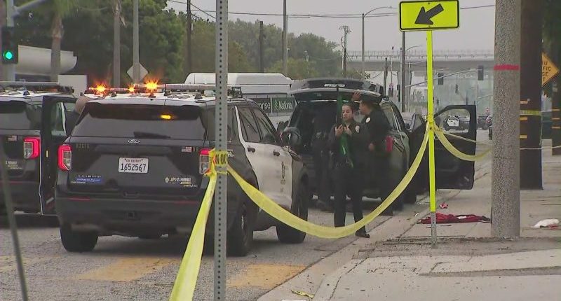 Watch: Man appears to be arrested in background of live news report