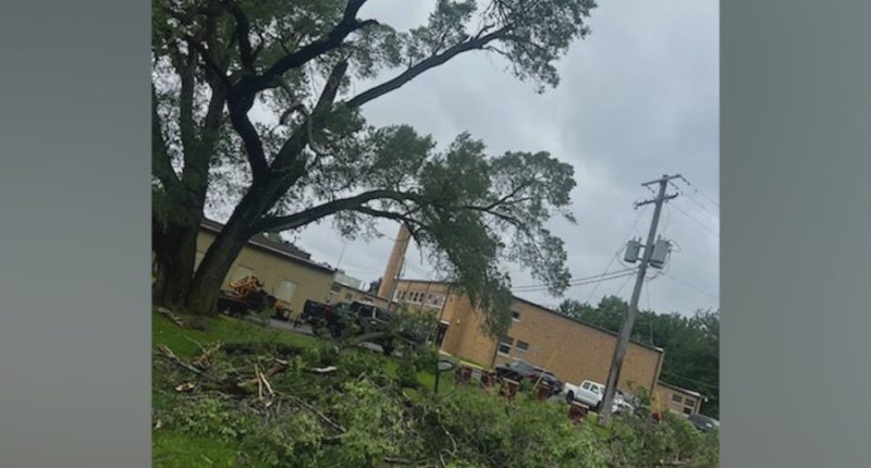 Westville community comes together, cleans up storm damage at baseball park