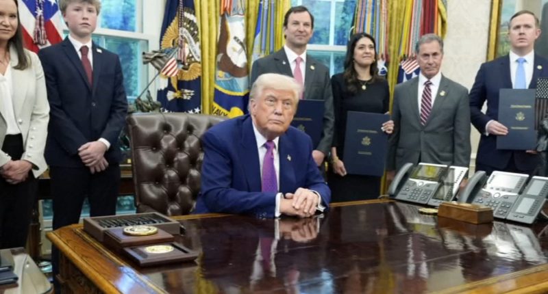 What is habeas corpus, the legal procedure Donald Trump is considering suspending?