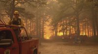 Wildfire smoke exposure is harming pregnant patients who have limited access to health care: Study