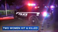 Winnetka crash: Sediqeh Samadi identified as 1 of 2 pedestrians killed, infant critically injured at Church Road, Meadow Road