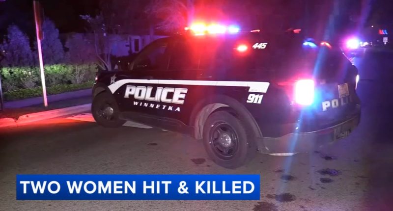 Winnetka crash: Sediqeh Samadi identified as 1 of 2 pedestrians killed, infant critically injured at Church Road, Meadow Road