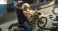﻿A woman has been fined for riding a motorbike with a dog strapped to her chest in a Temu har﻿ness on Queensland's Sunshine Coast.