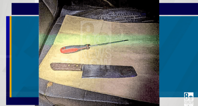 Woman jumps from moving car on Las Vegas freeway as driver pulls meat cleaver: Police