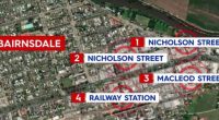Young woman accused of stabbing four men in rampage