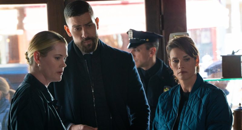 ‘Blue Bloods’ Star Abigail Hawk Returns to CBS in New Law Enforcement Role: ‘My Post-Baker Era’