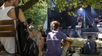 Audience members sitting under a tree listening to a musician performing at an outdoor music festival.