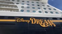 2 people, including a child, rescued after going overboard on Disney Cruise ship: Reports
