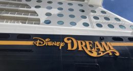 2 people, including a child, rescued after going overboard on Disney Cruise ship: Reports