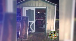 2 women arrested after 5-year-olds found abandoned in shed: Florida deputies