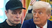 5 takeaways from the explosive Trump-Musk divorce
