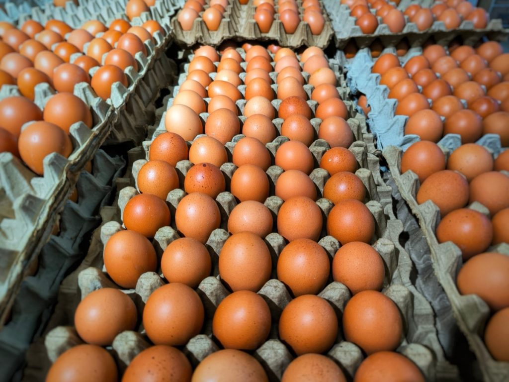 Photo of fresh eggs neatly arranged in an egg carton at a supermarket. The eggs are organized in a clean, orderly manner, showcasing the concept of freshness, organization, grocery shopping