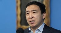 Andrew Yang reaches out to Musk to collaborate on new political party