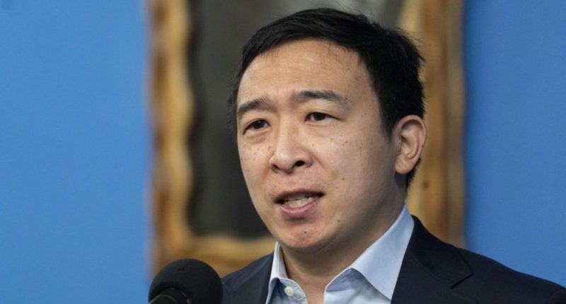 Andrew Yang reaches out to Musk to collaborate on new political party