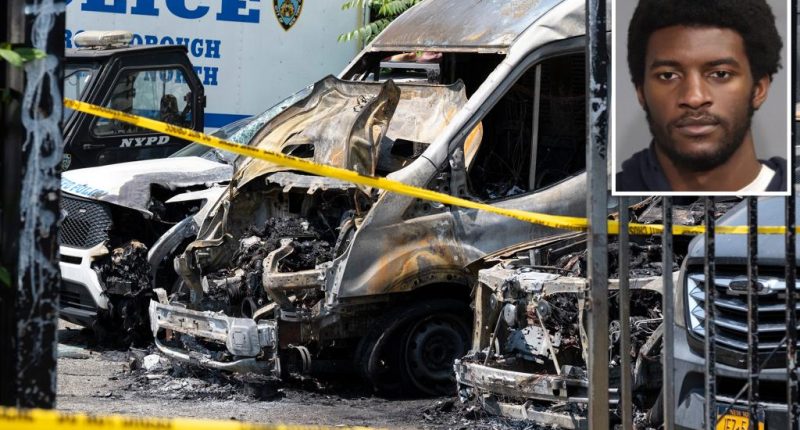 Arsonist who torched NYPD cars ID'd as anti-Israel protester: cops