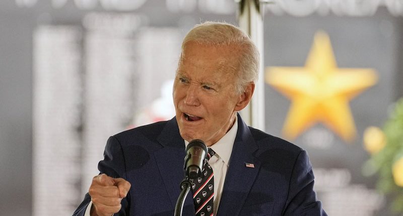 Ashley Biden lashes out at Jake Tapper over health cover up claims