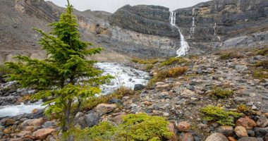 Bow Glacier Falls is located near Banff, in Alberta. The falls originates from melt water from the Bow Glacier and flows into Bow Lake.