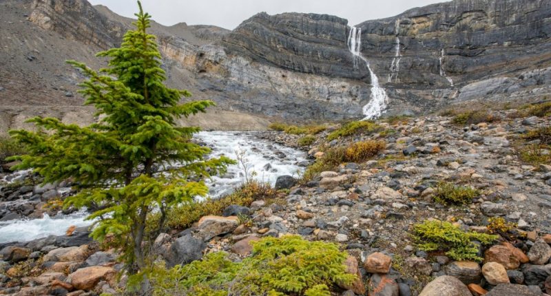 Bow Glacier Falls is located near Banff, in Alberta. The falls originates from melt water from the Bow Glacier and flows into Bow Lake.