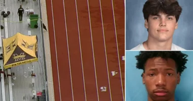 Austin Metcalf's accused killer needs support fighting 'white supremacy' after murder indictment: spox