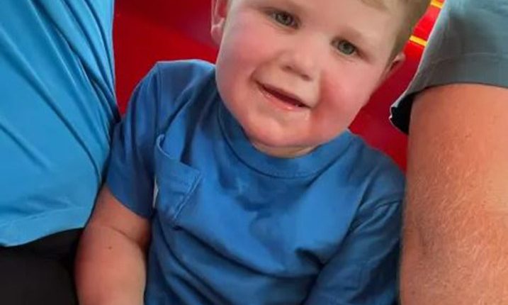 A toddler in a blue shirt sits on someone's lap.