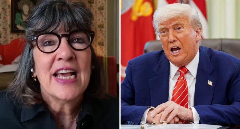 CNN's Christiane Amanpour mocked for being 'afraid' to travel to the US