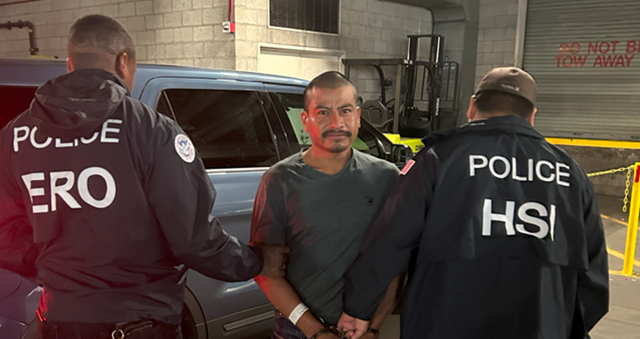 California sheriff says Newsom ‘encouraged’ LA riots as ICE arrests violent illegal aliens