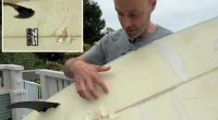 California surfer comes face to face with 10-foot shark after it tosses him from board