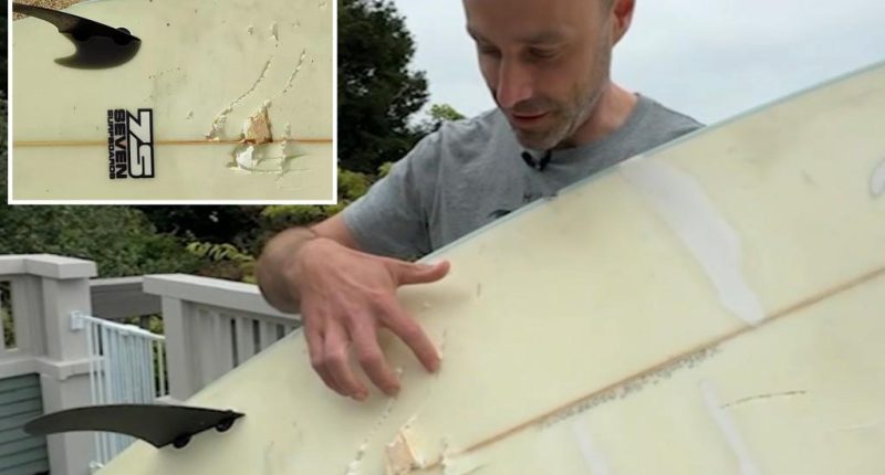 California surfer comes face to face with 10-foot shark after it tosses him from board